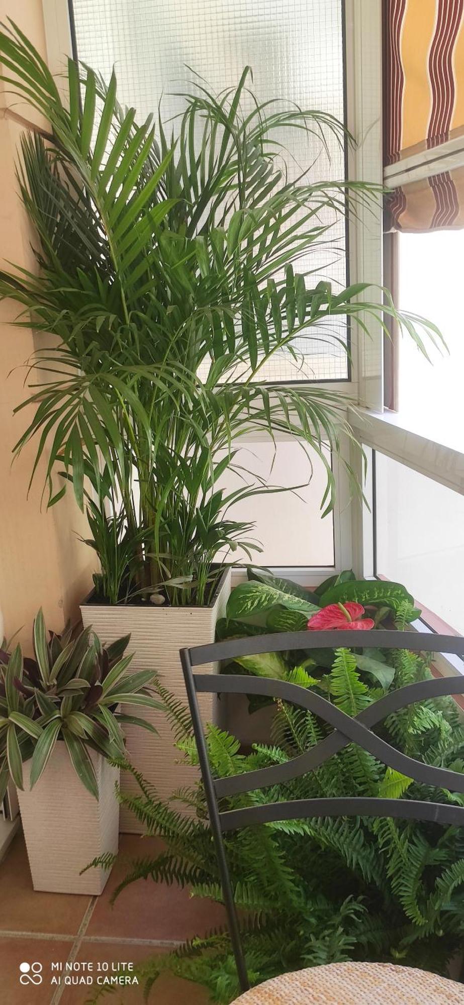 Duplex Fuengirola Centro 3 Dormitorios 外观 照片